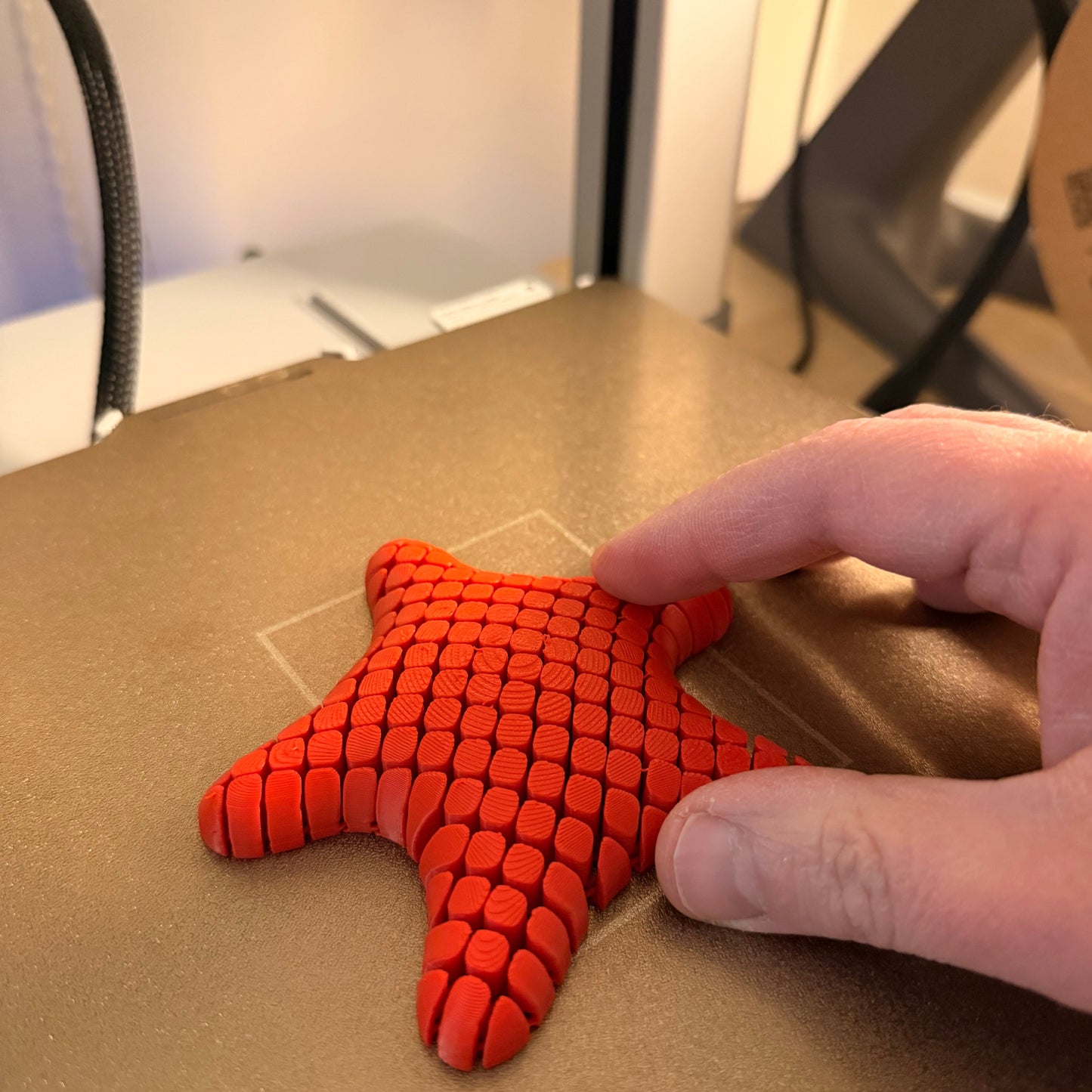 Articulated Starfish – Αρθρωτός Αστερίας "Touch & Feel" (3D Printed Fidget)