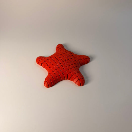 Articulated Starfish – Αρθρωτός Αστερίας "Touch & Feel" (3D Printed Fidget)