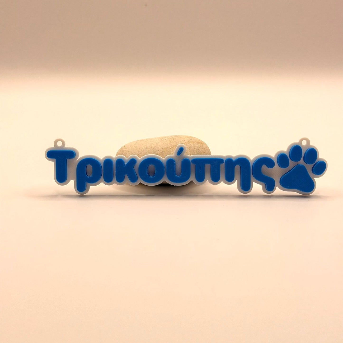 3D Printed  Επιγραφή για κλουβί ή τσάντα με το όνομα του κατοικίδιου σας και πατούσα σκύλου 15 εκ.