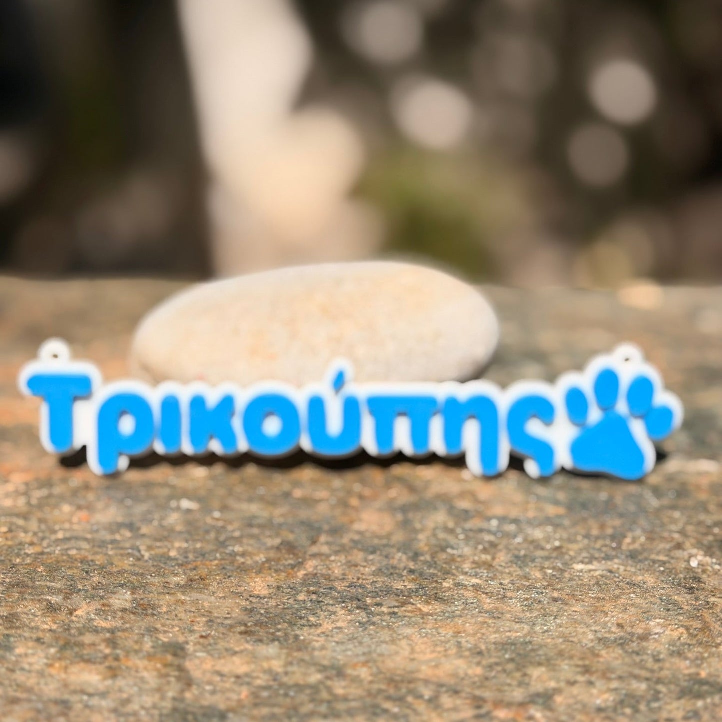 3D Printed  Επιγραφή για κλουβί ή τσάντα με το όνομα του κατοικίδιου σας και πατούσα σκύλου 15 εκ.