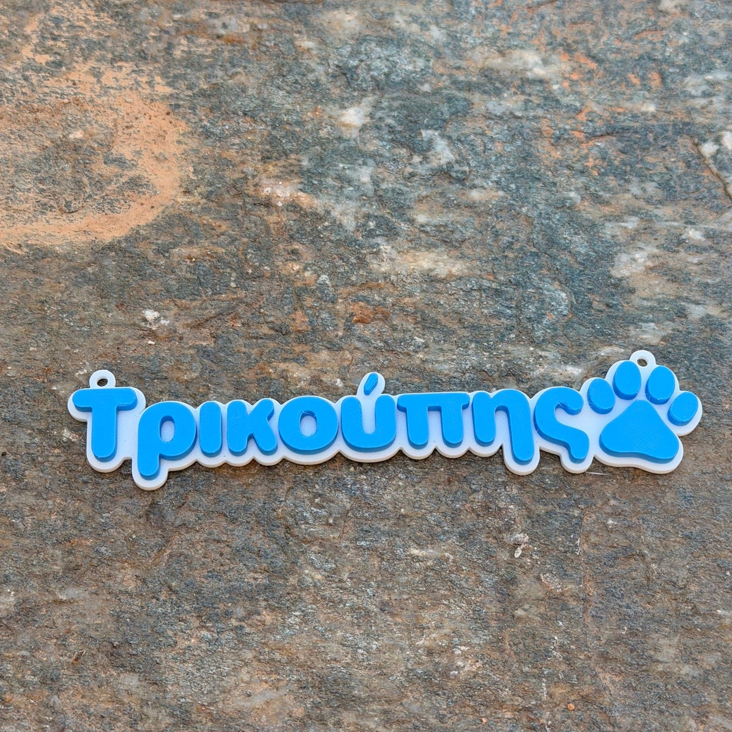 3D Printed  Επιγραφή για κλουβί ή τσάντα με το όνομα του κατοικίδιου σας και πατούσα σκύλου 15 εκ.