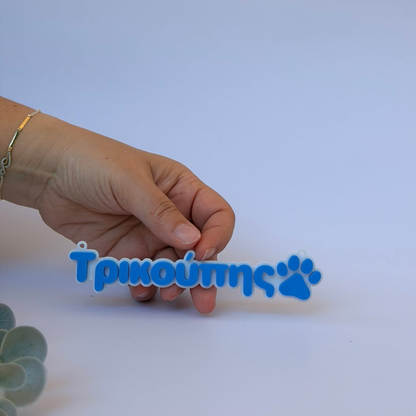 3D Printed  Επιγραφή για κλουβί ή τσάντα με το όνομα του κατοικίδιου σας και πατούσα σκύλου 15 εκ.